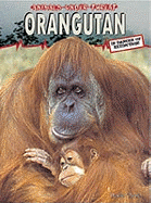Animals Under Threat: Orangutan