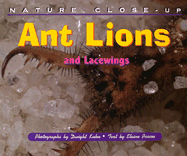 Ant Lions: And Lacewings