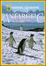 Antarctic Wildlife Adventure