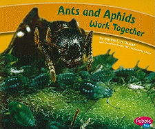 Ants and Aphids Work Together
