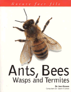 Ants, Bees, Wasps & Termites