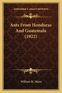 Ants From Honduras And Guatemala (1922)