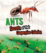 Ants: Secrets of Their Cooperative Colonies