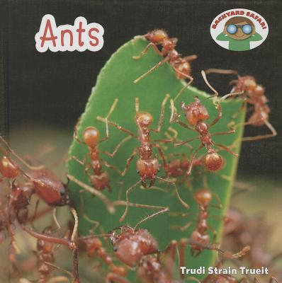 Ants - Strain Trueit, Trudi