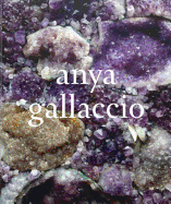 Anya Gallaccio