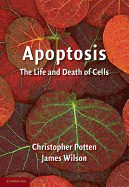 Apoptosis: The Life and Death of Cells