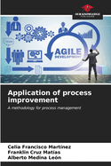 Application of process improvement