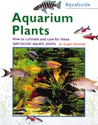 Aquarium Plants - Schmidt, Jurgen