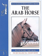 Arab Horse