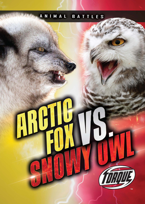 Arctic Fox vs. Snowy Owl - Sommer, Nathan