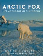 Arctic Fox - Hamilton, Garry