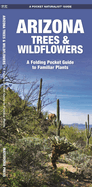 Arizona Trees & Wildflowers: A Folding Pocket Guide to Familiar Plants