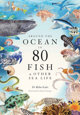 Around the Ocean in 80 Fish and other Sea Life - Scales, Helen