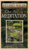 Art of Meditaiton