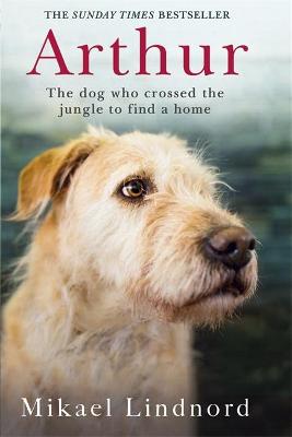 Arthur: The dog who crossed the jungle to find a home - Lindnord, Mikael, and Hudson, Val