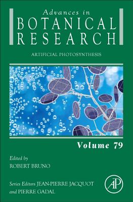 Artificial Photosynthesis - Robert, Bruno (Volume editor)