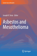 Asbestos and Mesothelioma