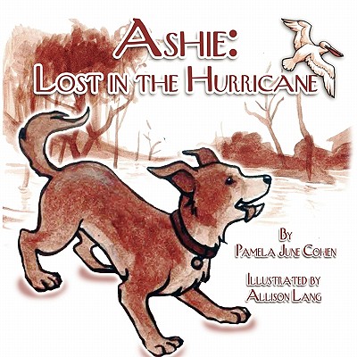 Ashie: Lost in the Hurricane - Cohen, Pamela June