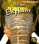 Asian Elephant