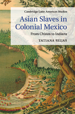 Asian Slaves in Colonial Mexico: From Chinos to Indians - Seijas, Tatiana