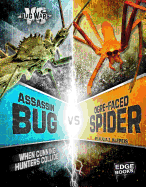 Assassin Bug VS Ogre-Faced Spider: When Cunning Hunters Collide