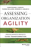 Assessing Organization Agility: Creating Diagnostic Profiles to Guide Transformation