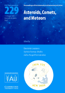 Asteroids, Comets, and Meteors (IAU S229)