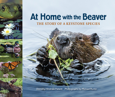 At Home with the Beaver: The Story of a Keystone Species - Patent, Dorothy Hinshaw, and Runtz, Michael (Photographer)