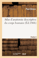 Atlas d'Anatomie Descriptive Du Corps Humain. Partie 4