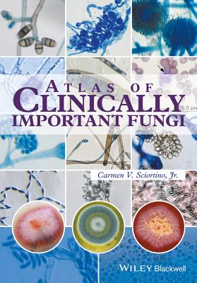 Atlas of Clinically Important Fungi - Sciortino, Carmen V