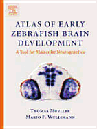 Atlas of Early Zebrafish Brain Development: A Tool for Molecular Neurogenetics
