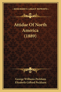 Attidae of North America (1889)