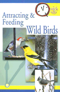 Attracting & Feeding Wild Birds