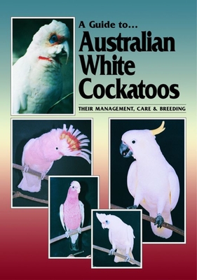 Australian White Cockatoos - Hunt, Chris