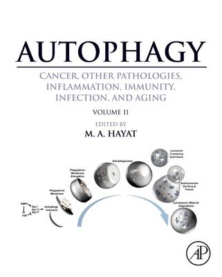 Autophagy: Cancer, Other Pathologies, Inflammation, Immunity, Infection, and Aging - Hayat, M A (Editor)