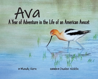 Ava: A Year of Adventure in the Life of an American Avocet - Kern, Mandy