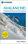 Avalanche!: Assess and Reduce Risks from Avalanches