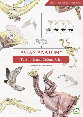 Avian Anatomy 2nd Edition: Textbook and Colour Atlas - Konig, Horst Erich