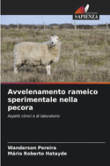 Avvelenamento rameico sperimentale nella pecora