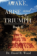 Awake, Arise and Triumph: Book II - God's Road to Redemption - Wood, David R, Dr.