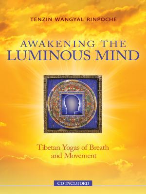Awakening the Luminous Mind: Tibetan Meditation for Inner Peace and Joy - Wangyal Rinpoche, Tenzin