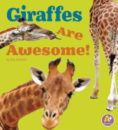 Awesome African Animals Giraffes are Awesome