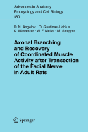 Axonal Branching and Recovery of Coordinated Muscle Activity After Transsection of the Facial Nerve in Adult Rats - Angelov, Doychin N, and Guntinas-Lichius, Orlando, and Wewetzer, Konstantin