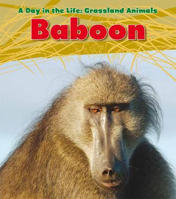 Baboon - Spilsbury, Louise