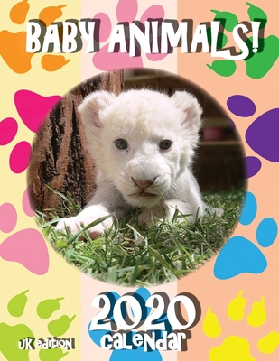 Baby Animals! 2020 Calendar (UK Edition) - Sea Wall Uk