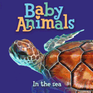 Baby Animals: In the Sea