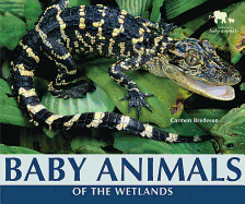 Baby Animals of the Wetlands