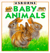 Baby Animals