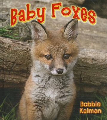 Baby Foxes - Kalman, Bobbie