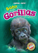 Baby Gorillas